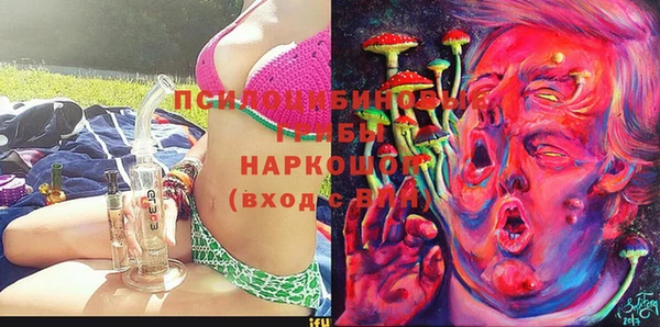 эйфоретик Алзамай
