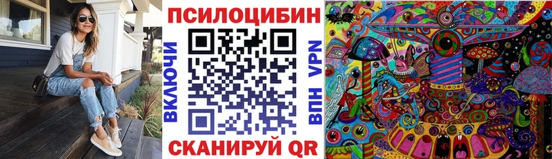 Псилоцибиновые грибы мухоморы продажа наркотиков hydra ССЫЛКА Апатиты